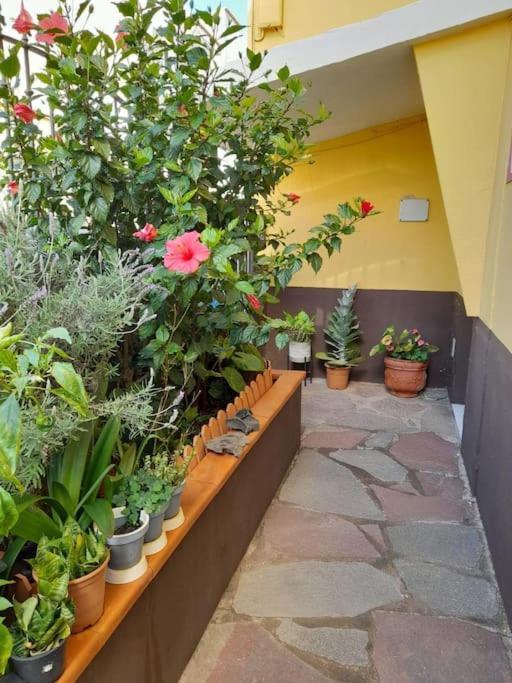 El Rincon De Nina Villa La Laguna  Eksteriør bilde
